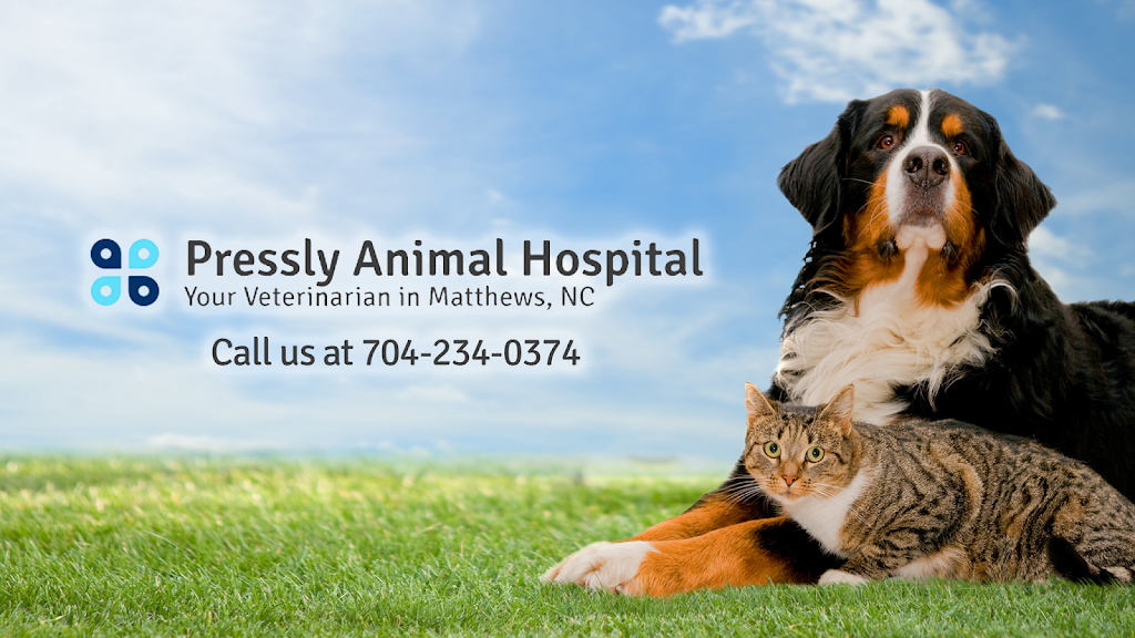 Pressly Animal Hospital | 301 Chestnut Ln, Matthews, NC 28104, USA | Phone: (704) 234-0374