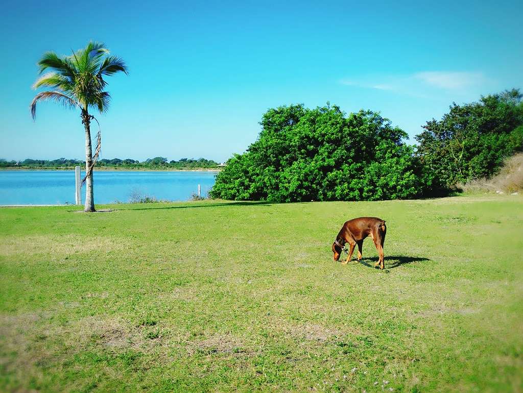 Canine Cove at South County Regional Park | 12551 Glades Rd, Boca Raton, FL 33498 | Phone: (561) 966-6600