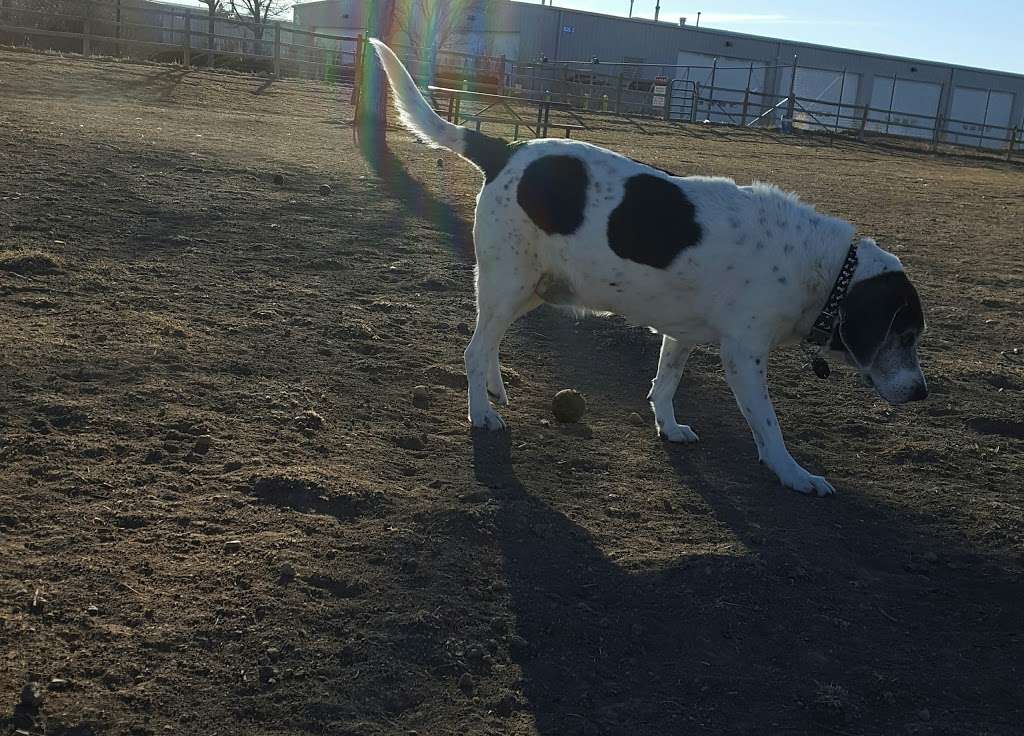 City of Longmont Dog Park #2 | Airport Rd & St Vrain Rd, Longmont, CO 80503, USA | Phone: (303) 651-8416