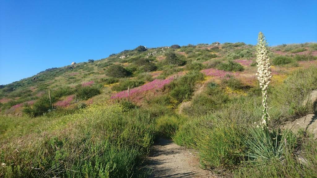 Tooth Rock | 3211002100, Poway, CA 92064, USA