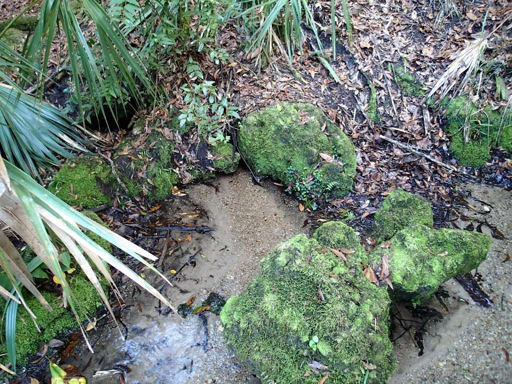 Boulder Spring (Little Bear) | Eustis, FL 32736, USA