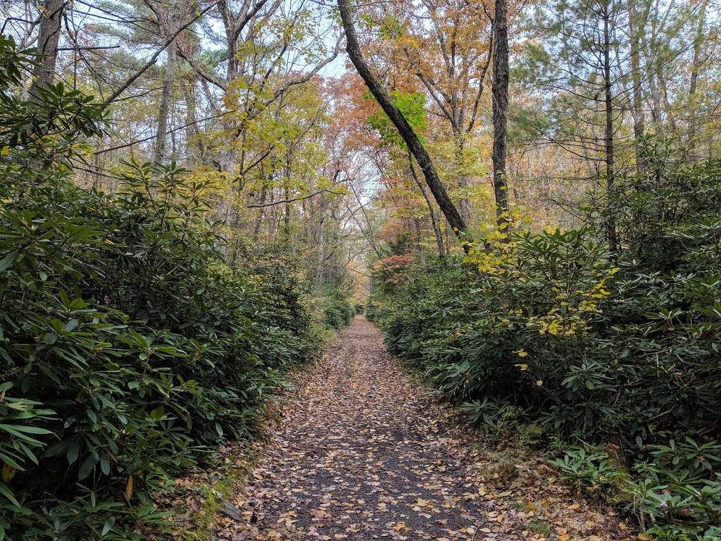 Switchback Railroad Trail Entrance | 20 Hill Rd, Jim Thorpe, PA 18229