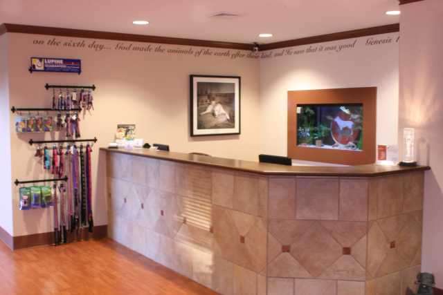 Telford Veterinary Hospital | 78 Souderton Pike, Souderton, PA 18964, USA | Phone: (215) 721-6989