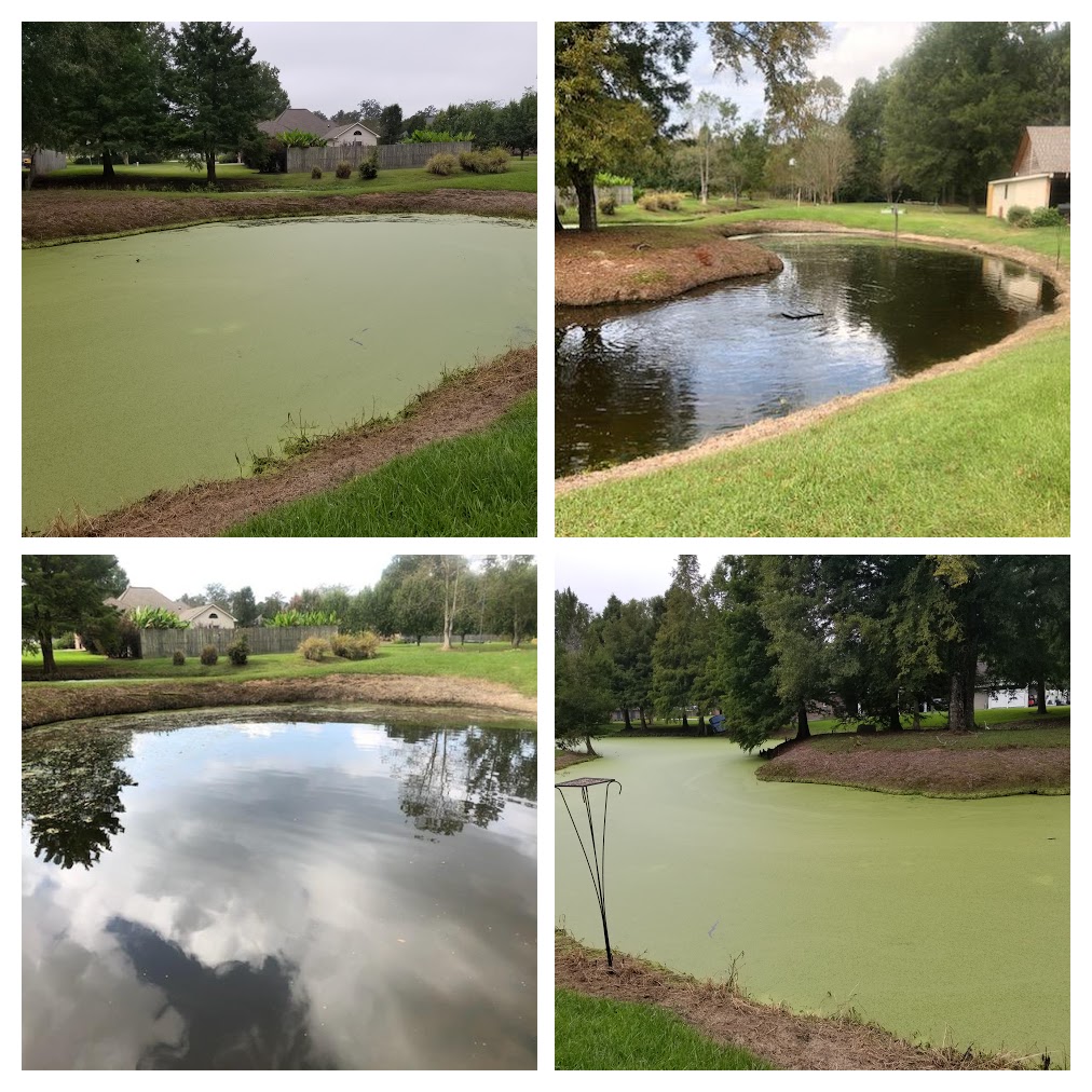 Louisiana Pond Management | 7517 Town S Ave, Baton Rouge, LA 70808 | Phone: (225) 308-4145