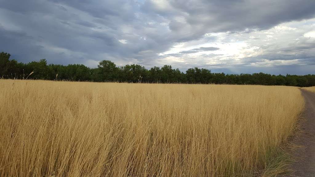 Sand Creek Riparian Preserve | 20809 E 6th Ave, Aurora, CO 80018, USA | Phone: (303) 297-1192