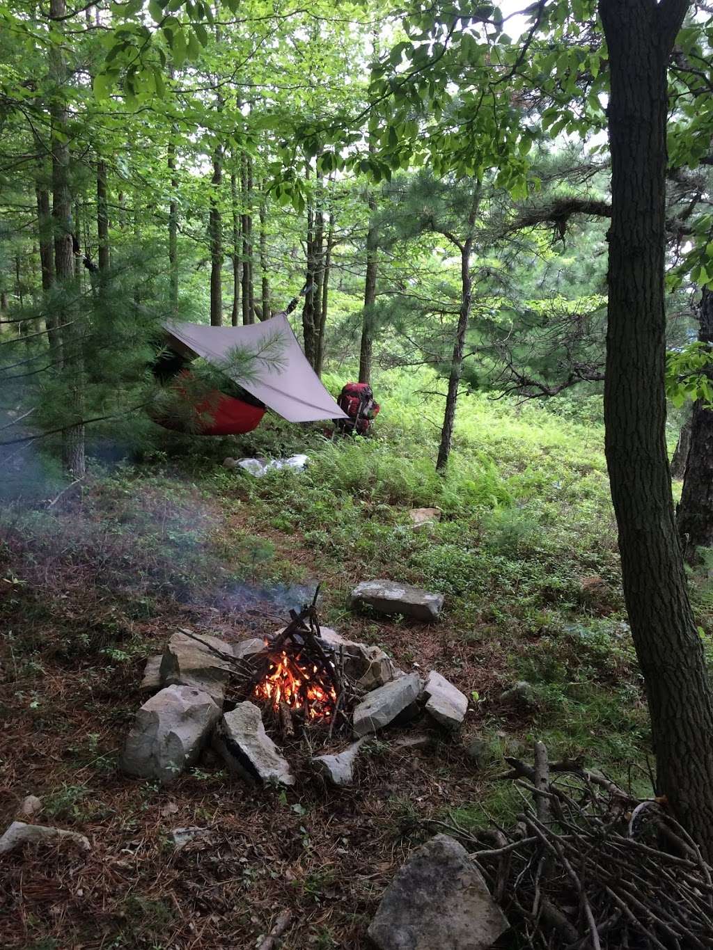 Appalachian Trail | Ashfield Rd, Slatington, PA 18080, USA