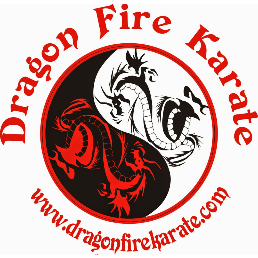 Dragon Fire Karate | 132 E Illinois Hwy, New Lenox, IL 60451 | Phone: (708) 259-5409