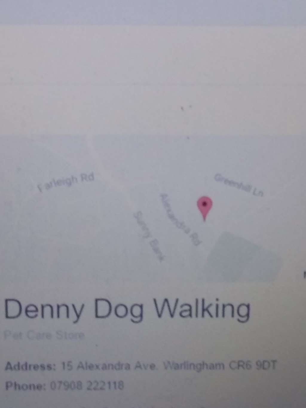 Denny Dog Walking | 15 Alexandra Ave, Warlingham CR6 9DT, UK | Phone: 07908 222118