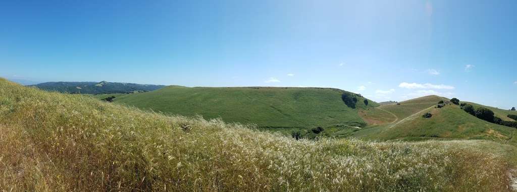 Martin Canyon Creek Trailhead | 11598-11300 Bay Laurel St, Dublin, CA 94568, USA