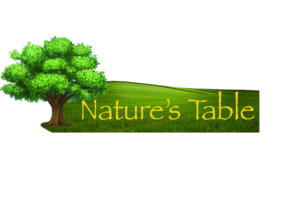 Natures Table | 1103 US-169 suite f, Smithville, MO 64089, USA | Phone: (816) 846-0040