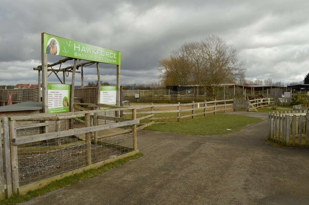 Willows Bird of Prey Centre | Coolings Green & Pleasant, Main Rd, Knockholt, Sevenoaks TN14 7LJ, UK | Phone: 01959 580677