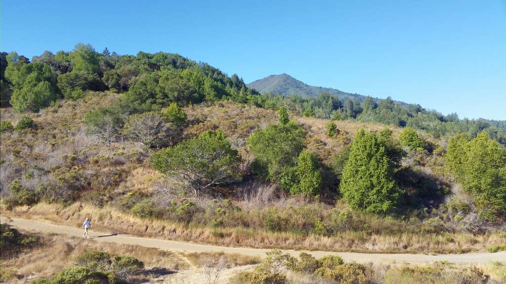 King Mountain Open Space | Citron Fire Rd, Larkspur, CA 94939