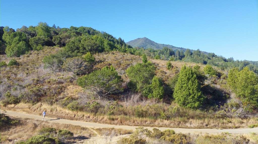 King Mountain Open Space | Citron Fire Rd, Larkspur, CA 94939, USA