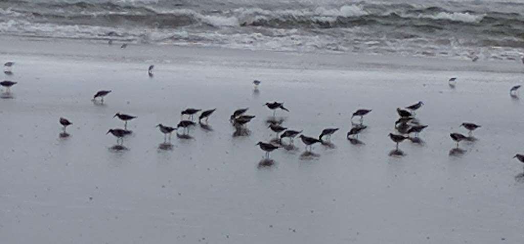 Beach At Avalon NJ | Avalon, NJ 08202