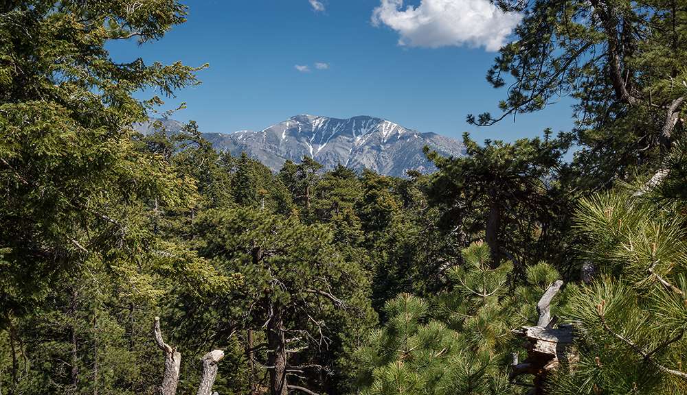 Grassy Hollow Picnic Area | Valyermo, CA 93563