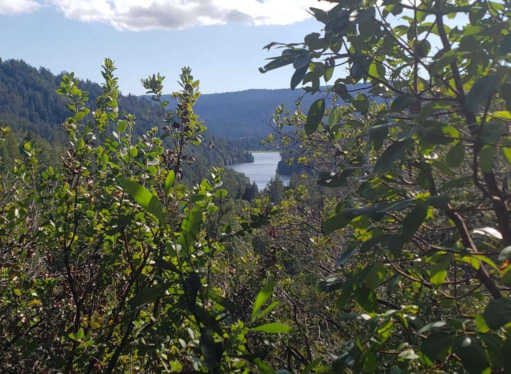 Loch Trail | Loch Trail, Ben Lomond, CA 95005, USA