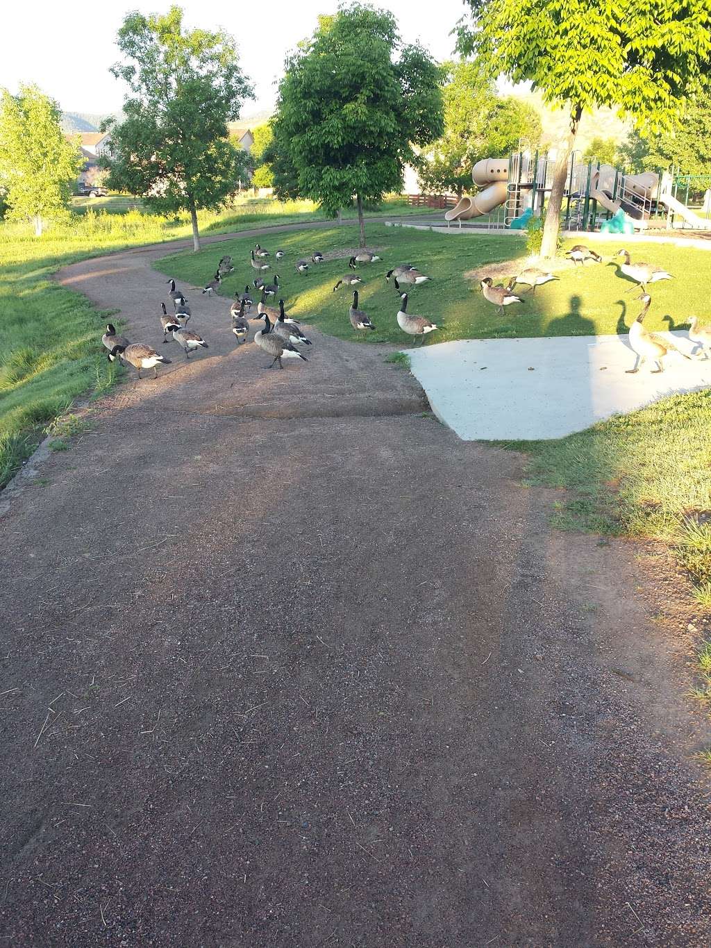 Trailmark Park | 8853 W Trailmark Pkwy, Littleton, CO 80127, USA | Phone: (303) 798-5131 Trailmark Park | 8853 W Trailmark Pkwy, Littleton, CO 80127, USA | Phone: (303) 798-5131