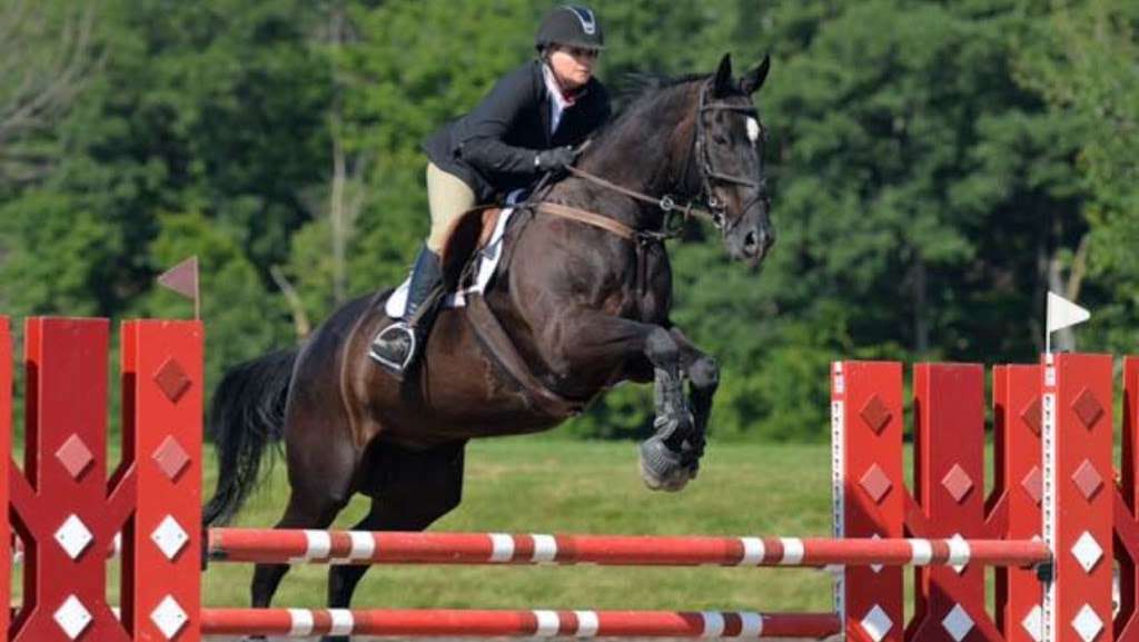 Global Equestrians International | 95 Whitehall Rd, Pittstown, NJ 08867 | Phone: (801) 656-5941