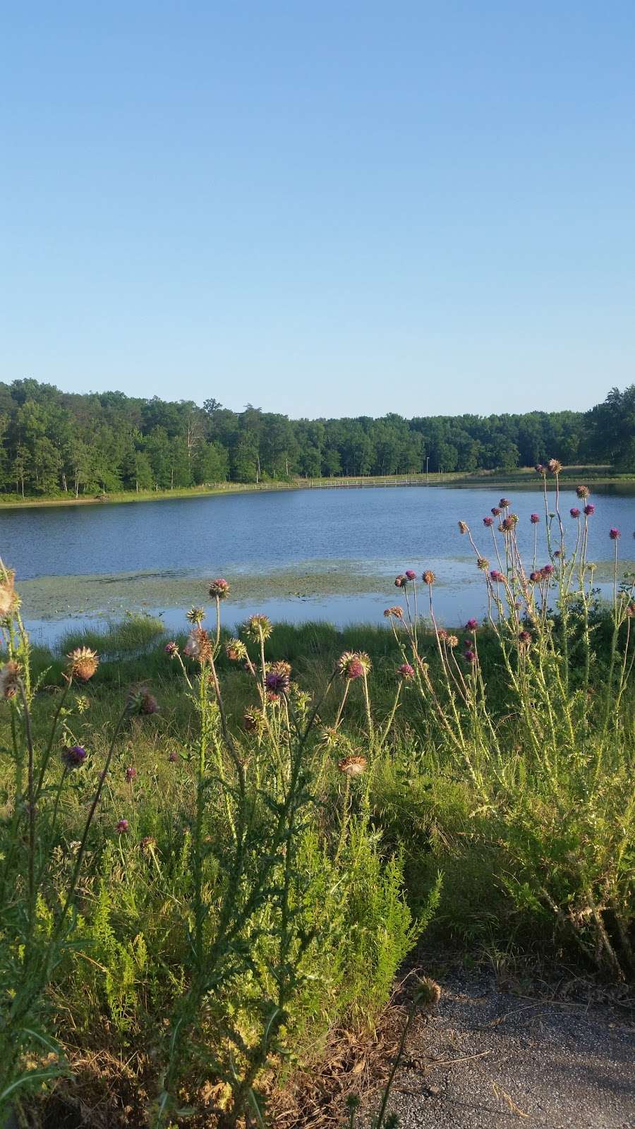 Cash Lake Fishing Area | Cash Lake Fishing Area, Bowie, MD 20720