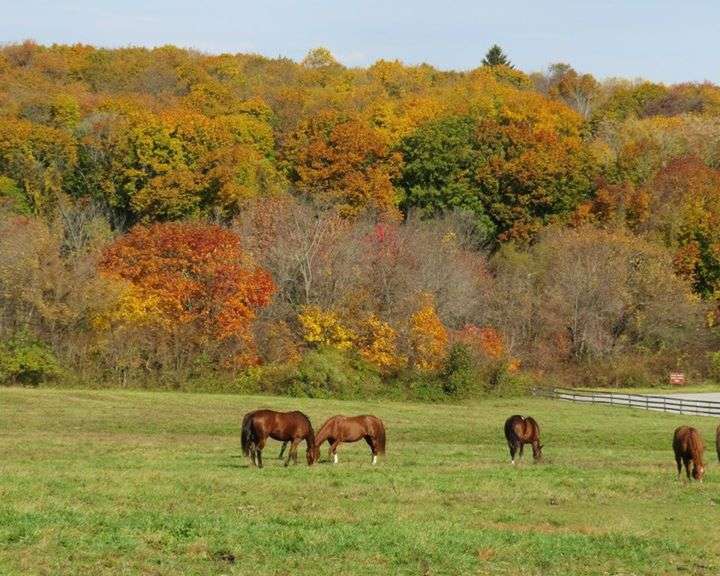 Hope Springs Farm at Marsh Creek State Park | 800 N Reeds Rd, Downingtown, PA 19335, USA | Phone: (610) 321-1960