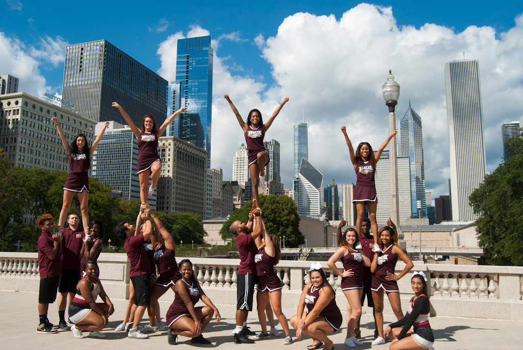 Robert Morris University - Arlington Heights | 2123 S Goebbert Rd, Arlington Heights, IL 60005, USA | Phone: (847) 718-6700