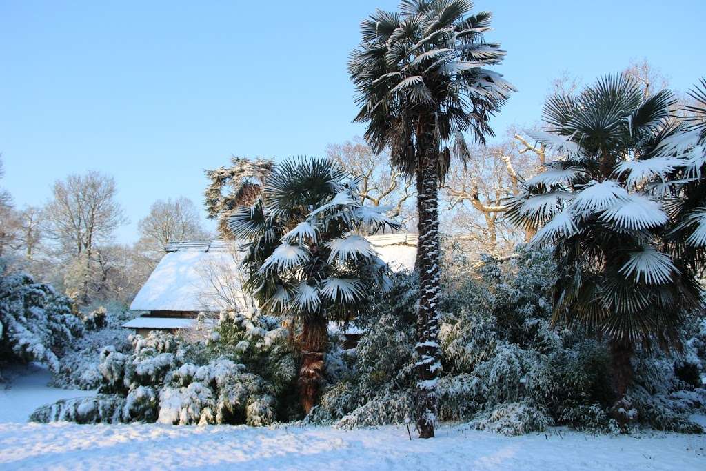 Japanese Landscape - Kew Gardens | Royal Botanic Gardens, Kew Rd, Richmond TW9 3AE, UK | Phone: 020 8332 5655