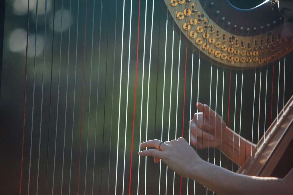 Stephanie Gustafson, Houston Harpist | 1135 Walling St, Houston, TX 77009, USA | Phone: (847) 254-0419