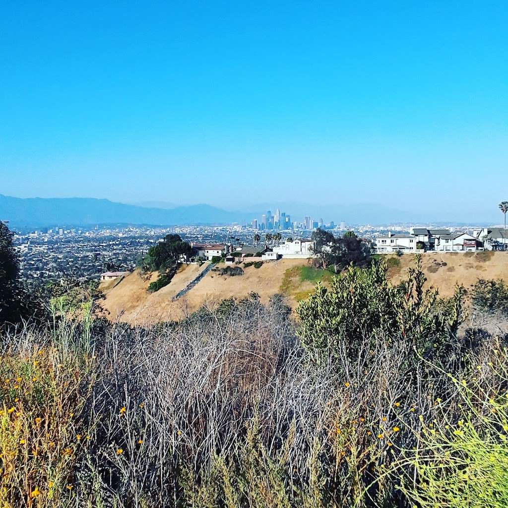 Norman O. Houston Park | 4800 South La Brea Ave, Los Angeles, CA 90008, USA | Phone: (323) 291-5928