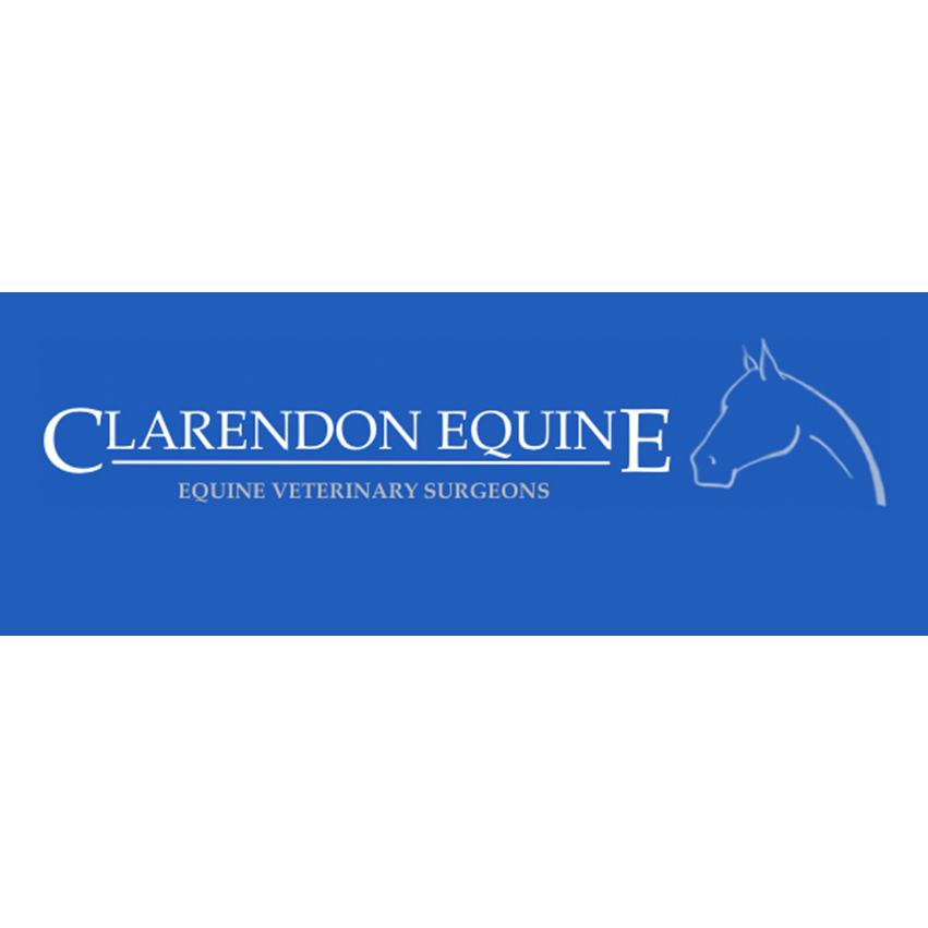 Clarendon Equine Vets | Bexfields Farm, Galleywood Rd, Chelmsford CM2 8BY, UK | Phone: 01245 346904