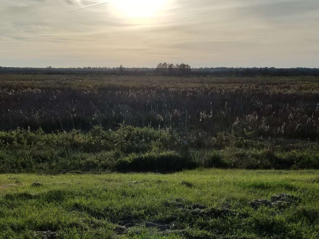 Ocklawaha Prairie Restoration Area Trail Head | SE 137th Avenue Rd, Ocklawaha, FL 32179, USA | Phone: (386) 329-4404