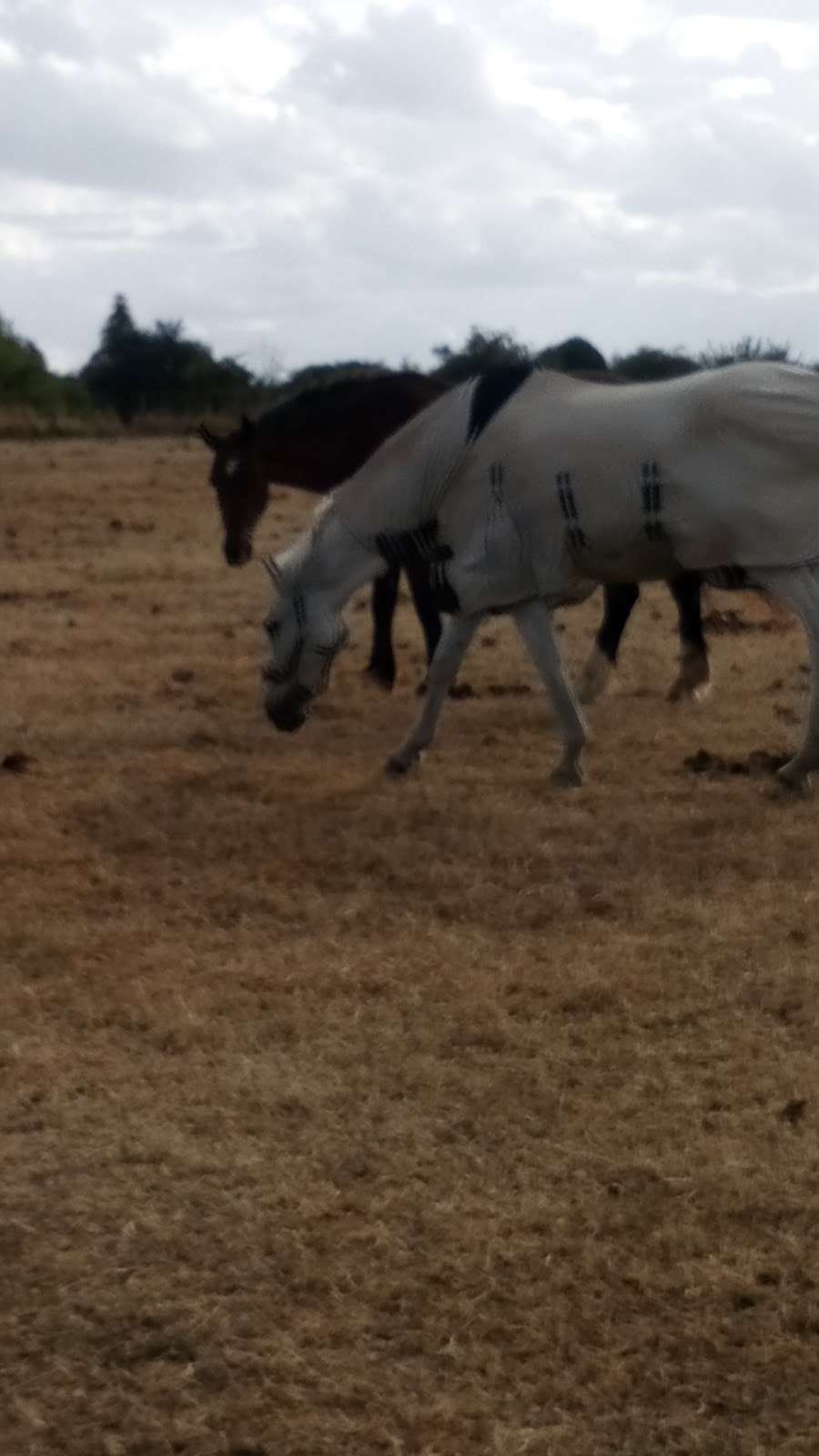 Porters Hill Park 41 Porters Hill, Harpenden AL5 5HR, UK BusinessYab