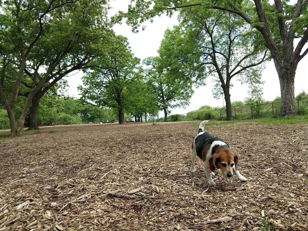 Locke County Dog Park | Rice Creek West Regional Trail, Fridley, MN 55432, USA | Phone: (763) 757-3920