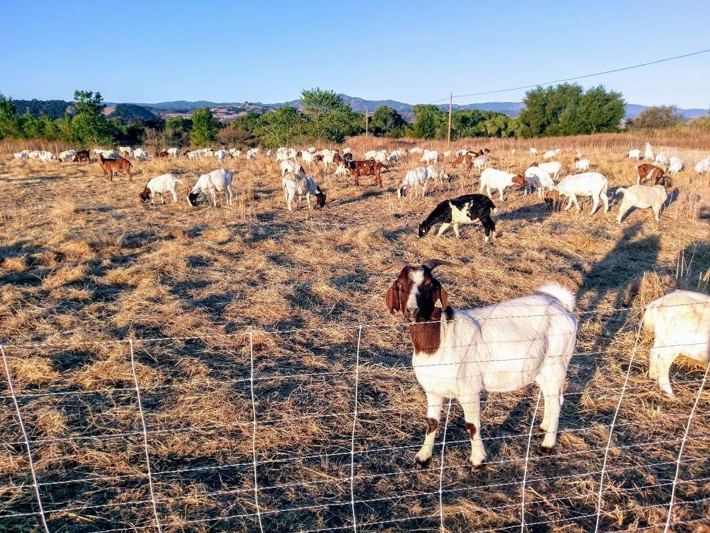 Coyote Creek Trail | Coyote Creek Golf Dr, Morgan Hill, CA 95037, USA