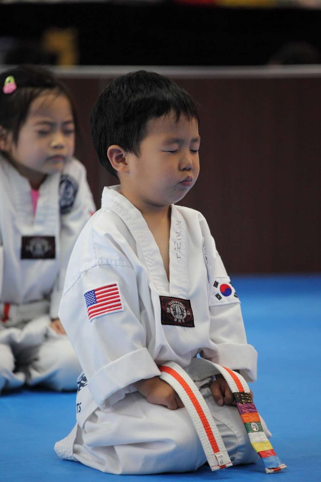 Top Mixed Martial Arts | 572 Allen Rd, Basking Ridge, NJ 07920, USA | Phone: (908) 506-1016