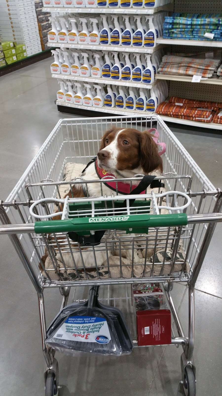 Menards | 1285 Liberty Dr, Bloomington, IN 47403, USA | Phone: (812) 339-6210