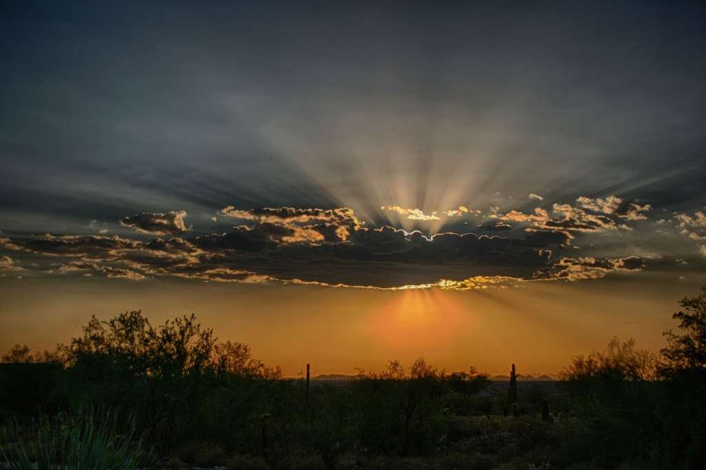 Trail Head Preserve - McDowell Mountains | Scottsdale, AZ 85255, USA