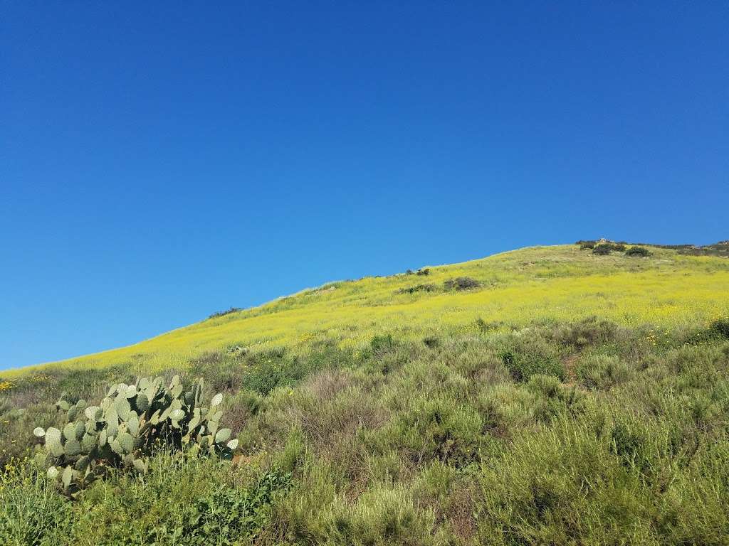 San Dieguito River Trail | San Dieguito River Trail, Escondido, CA 92029, USA