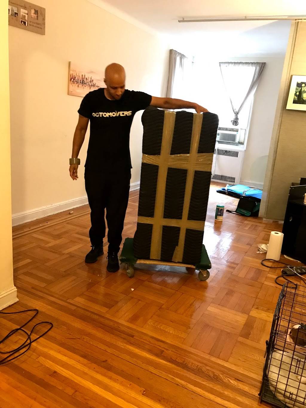 Octomovers | 175 Walnut Ave Ste 302F, The Bronx, NY 10454, USA | Phone: (212) 328-1176