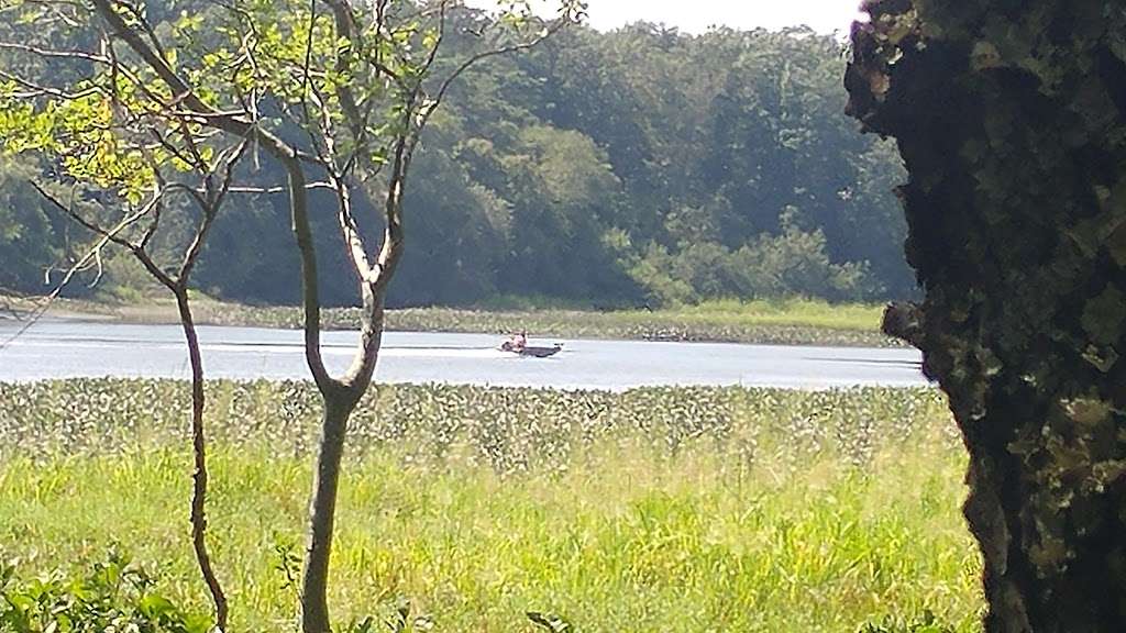 Natural Lands Trust Harold N. Peek Preserve | 2100 S 2nd St, Millville, NJ 08332 | Phone: (610) 353-5587