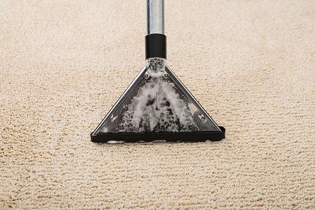 Bristol Carpets & Rugs Cleaner | 3713 S Bristol St, Santa Ana, CA 92704, USA | Phone: (714) 707-6744