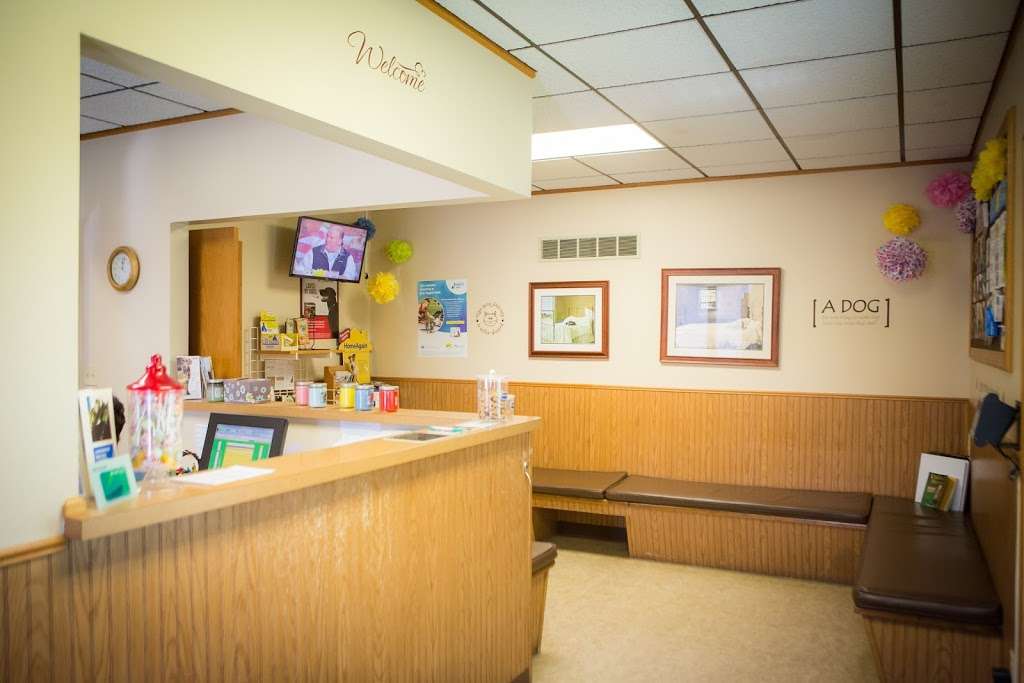 Dwight Veterinary Clinic | 305 S Old Rte 66, Dwight, IL 60420 | Phone: (815) 584-2732