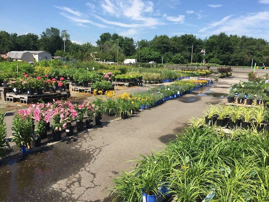 Gro-Rite Garden Center & Florist | 30 Hillview Rd, Lincoln Park, NJ 07035 | Phone: (973) 694-7495