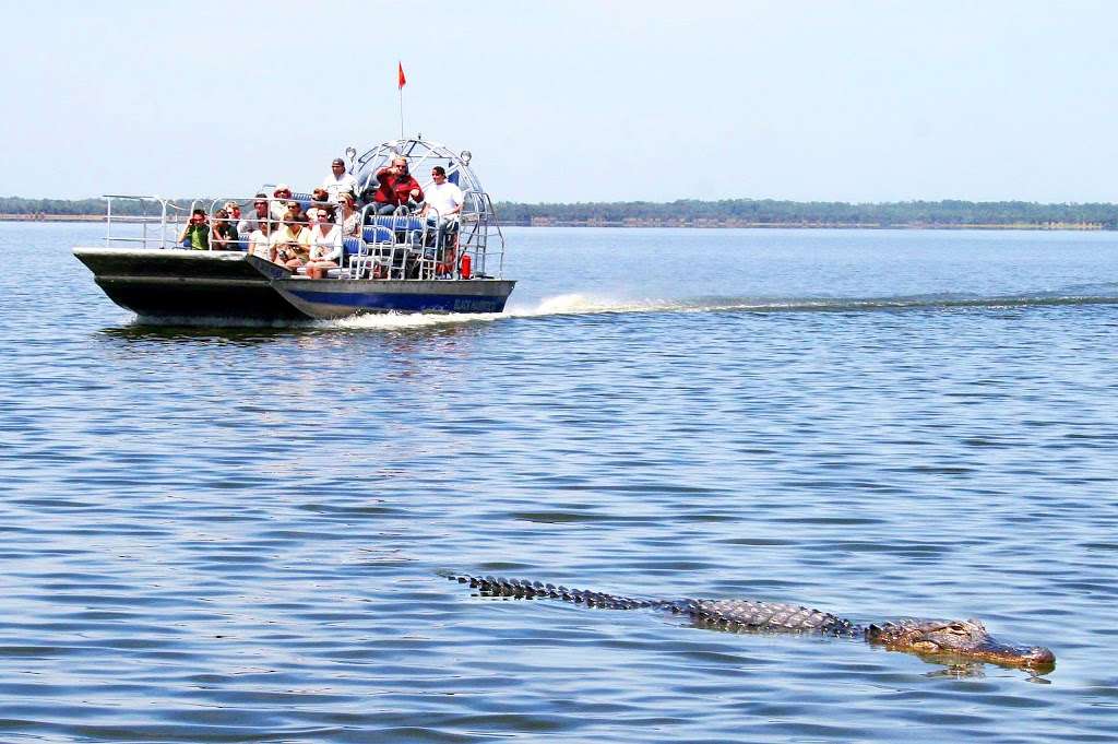 Black Hammock Airboat Rides | 2356 Black Hammock Fish Camp Rd, Oviedo, FL 32765 | Phone: (407) 365-1244