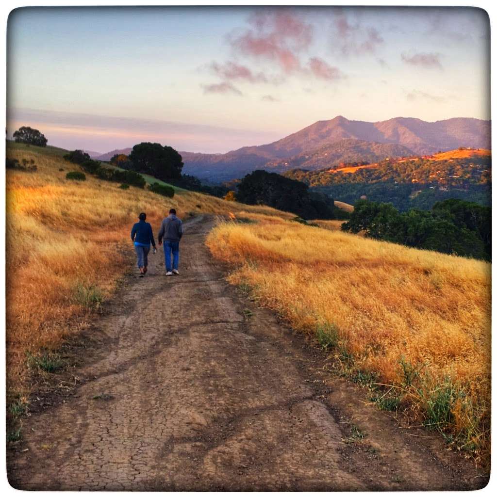 Terra Linda-Sleepy Hollow Divide Northern Preserve | San Rafael, CA 94903, USA Terra Linda-Sleepy Hollow Divide Northern Preserve | San Rafael, CA 94903, USA