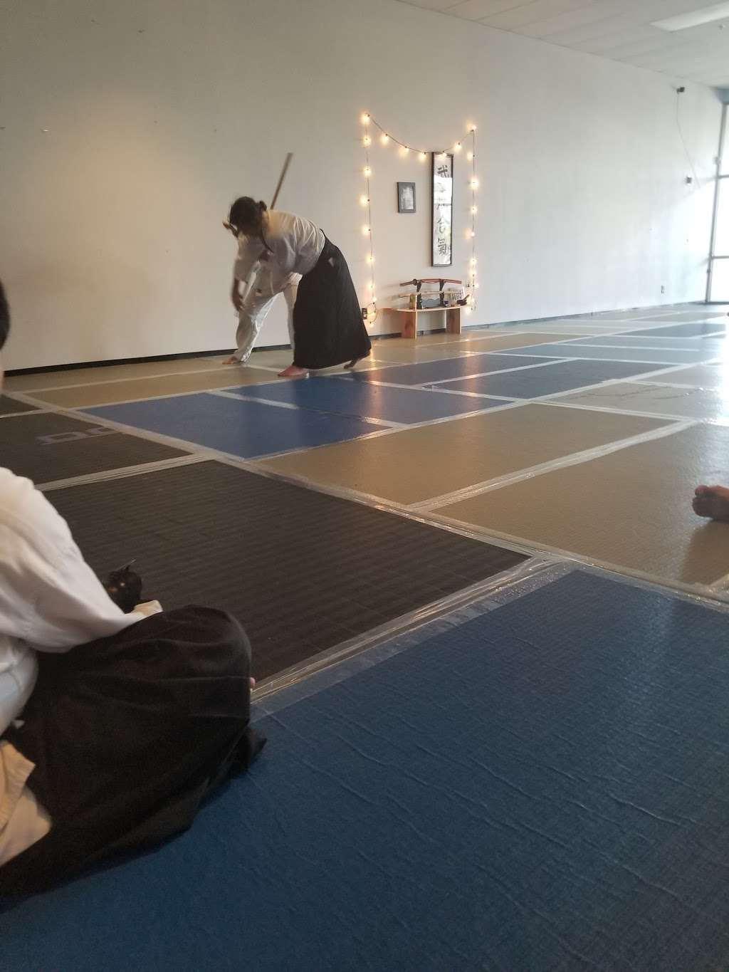 Henderson Aikido | 229 N Stephanie St D, Henderson, NV 89074, USA | Phone: (702) 719-1177