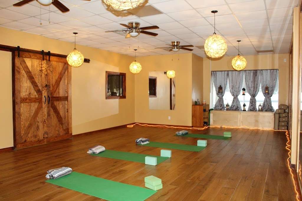 Tru Nature Yoga & Wellness | 219 Espanong Rd, Lake Hopatcong, NJ 07849 | Phone: (862) 803-9252