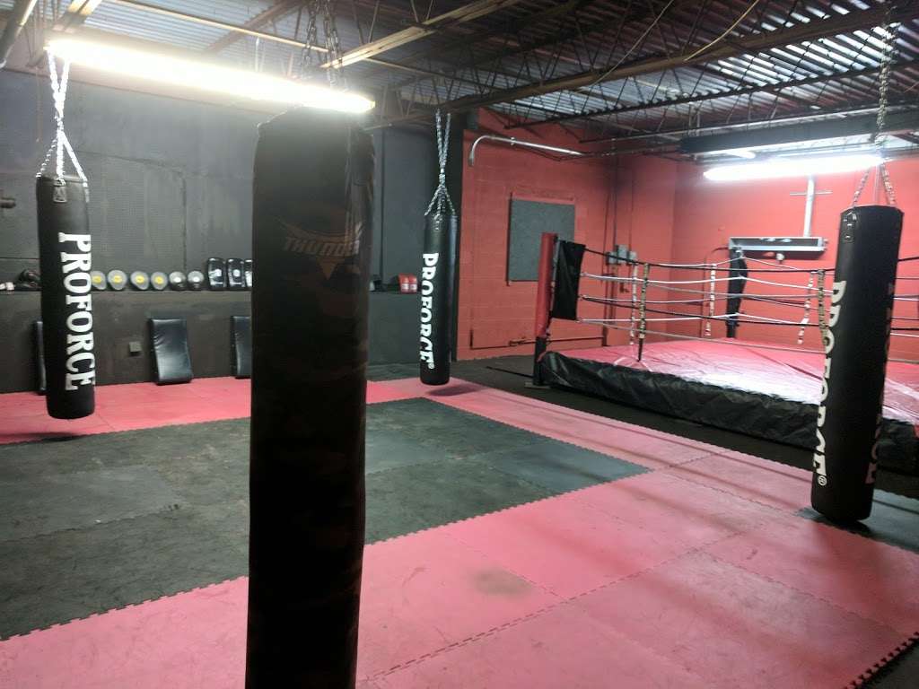 Beltrante Fighting Fit | 2767 Township Line Rd, Norristown, PA 19403, USA | Phone: (610) 805-5207 Beltrante Fighting Fit | 2767 Township Line Rd, Norristown, PA 19403, USA | Phone: (610) 805-5207