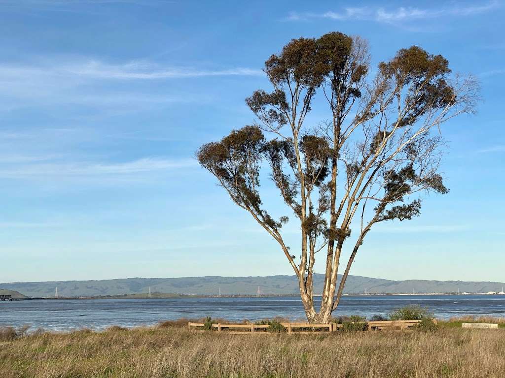 Ravenswood Open Space Preserve | Bay Rd, East Palo Alto, CA 94303 | Phone: (650) 853-3100