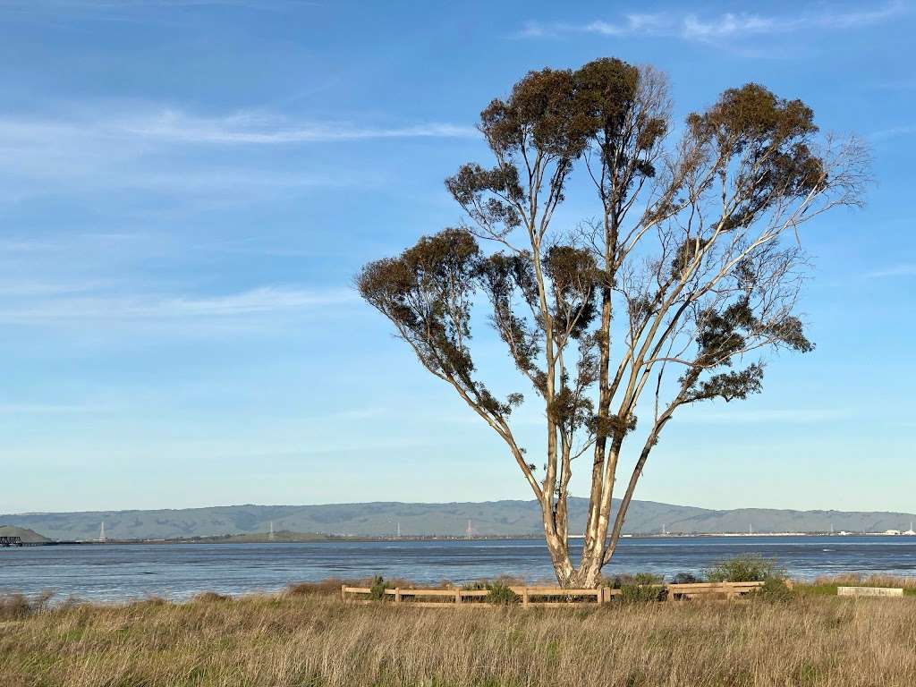 Ravenswood Open Space Preserve | Bay Rd, East Palo Alto, CA 94303, USA | Phone: (650) 853-3100