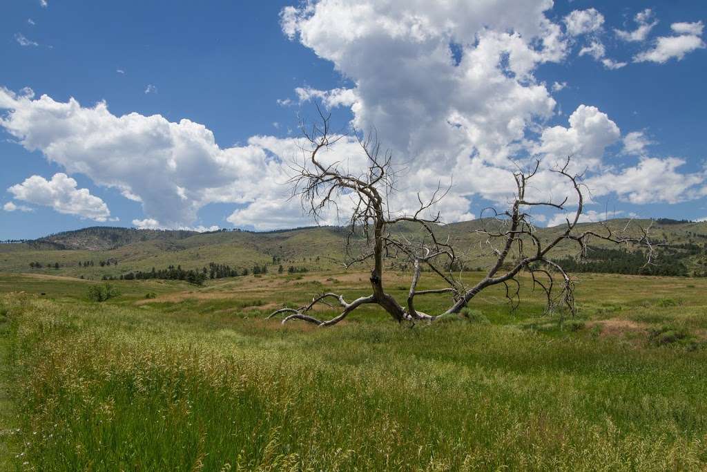 Bobcat Ridge Natural Area | 10184 Co Rd 32C, Loveland, CO 80538, USA